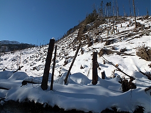 Nazwa pliku=55_zakopane_bialka-2015_02_14.jpg
Wielkość pliku=468KiB
Rozmiar=780x585
Data dodania= 23, Luty 2015 55_zakopane_bialka-2015_02_14.jpg