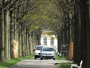 56_Kassel_04_2012.jpg