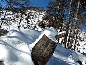 Nazwa pliku=56_zakopane_bialka-2015_02_14.jpg
Wielkość pliku=585KiB
Rozmiar=780x585
Data dodania= 23, Luty 2015 56_zakopane_bialka-2015_02_14.jpg