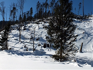 Nazwa pliku=59_zakopane_bialka-2015_02_14.jpg
Wielkość pliku=543KiB
Rozmiar=780x585
Data dodania= 23, Luty 2015 59_zakopane_bialka-2015_02_14.jpg
