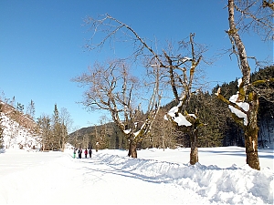 Nazwa pliku=60_zakopane_bialka-2015_02_14.jpg
Wielkość pliku=467KiB
Rozmiar=780x585
Data dodania= 23, Luty 2015 60_zakopane_bialka-2015_02_14.jpg