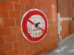 61_Antwerpia.jpg