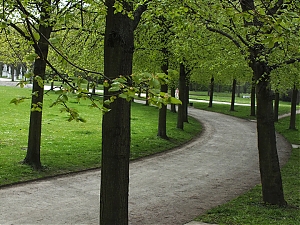 64_Kassel_04_2012.jpg