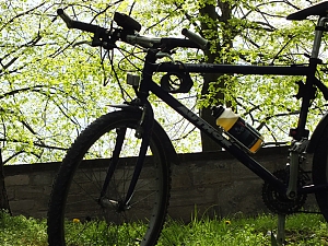 65_Kassel_04_2012.jpg
