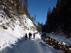 Nazwa pliku=65_zakopane_bialka-2015_02_14.jpg
Wielkość pliku=470KiB
Rozmiar=780x585
Data dodania= 23, Luty 2015 65_zakopane_bialka-2015_02_14.jpg