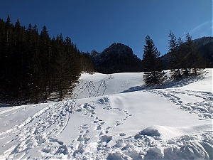 Nazwa pliku=69_zakopane_bialka-2015_02_14.jpg
Wielkość pliku=429KiB
Rozmiar=780x585
Data dodania= 23, Luty 2015 69_zakopane_bialka-2015_02_14.jpg