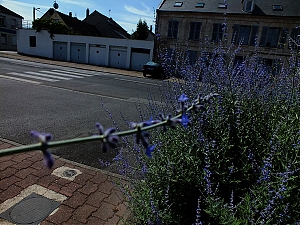 Nazwa pliku=70_soissons_francja.jpg
Wielkość pliku=502KiB
Rozmiar=760x570
Data dodania= 18, Lipiec 2015 70_soissons_francja.jpg