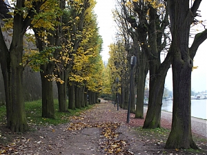 71-Metz_Francja.jpg