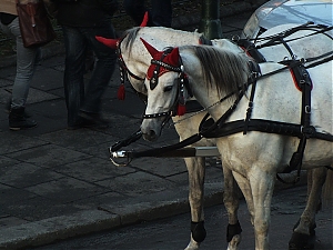 Nazwa pliku=71_krakow_2014_styczen.jpg
Wielkość pliku=343KiB
Rozmiar=780x585
Data dodania= 16, Styczeń 2014 71_krakow_2014_styczen.jpg