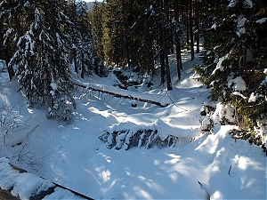 Nazwa pliku=80_zakopane_bialka-2015_02_14.jpg
Wielkość pliku=508KiB
Rozmiar=780x585
Data dodania= 23, Luty 2015 80_zakopane_bialka-2015_02_14.jpg