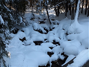 Nazwa pliku=81_zakopane_bialka-2015_02_14.jpg
Wielkość pliku=443KiB
Rozmiar=780x585
Data dodania= 23, Luty 2015 81_zakopane_bialka-2015_02_14.jpg