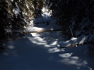 Nazwa pliku=83_zakopane_bialka-2015_02_14.jpg
Wielkość pliku=373KiB
Rozmiar=780x585
Data dodania= 23, Luty 2015 83_zakopane_bialka-2015_02_14.jpg