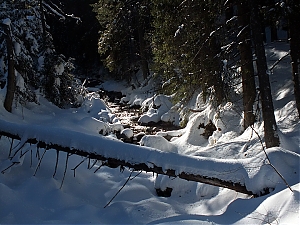 Nazwa pliku=84_zakopane_bialka-2015_02_14.jpg
Wielkość pliku=447KiB
Rozmiar=780x585
Data dodania= 23, Luty 2015 84_zakopane_bialka-2015_02_14.jpg