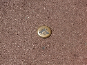 Nazwa pliku=DSCF2244.jpg
Wielkość pliku=472KiB
Rozmiar=720x540
Data dodania= 19, Lipiec 2015 DSCF2244.jpg