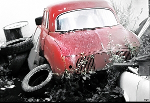 b002.jpg