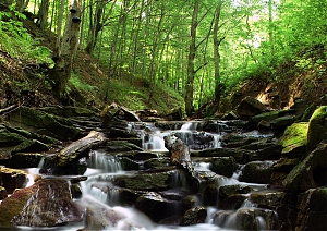 b023.jpg