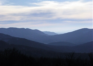 b037.jpg
