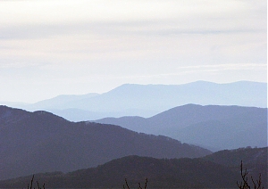 b042.jpg