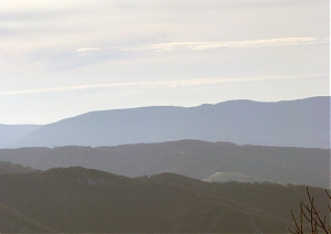 b044.jpg