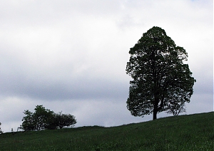 b052.jpg
