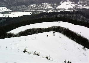 b075.jpg
