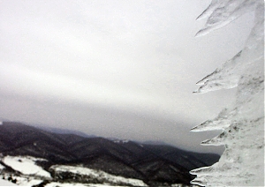 b079.jpg