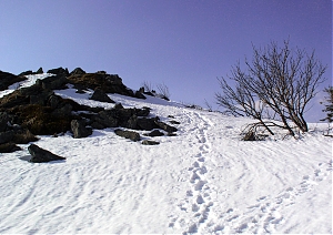 b093.jpg