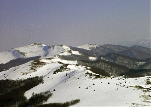 b095.jpg