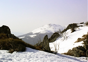 b096.jpg