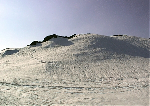 b098.jpg