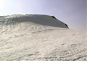 b099.jpg