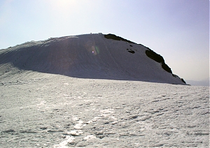 b100.jpg