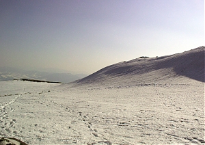 b101.jpg