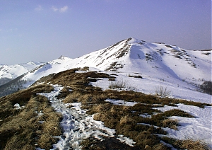 b106.jpg