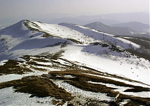 b107.jpg
