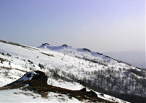 b109.jpg