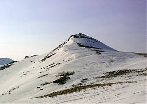 b110.jpg