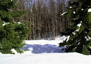b120.jpg