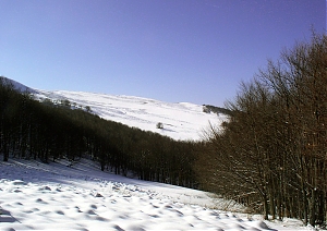 b122.jpg