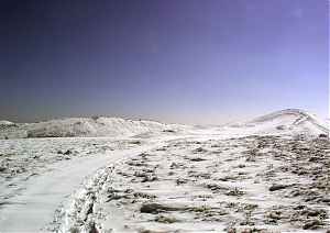 b125.jpg