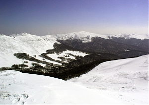b130.jpg