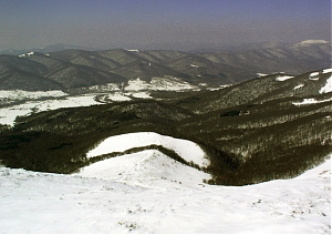 b132.jpg