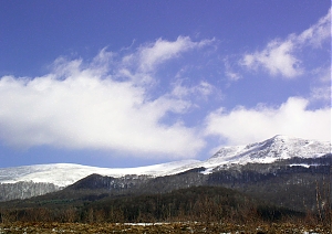 b143.jpg