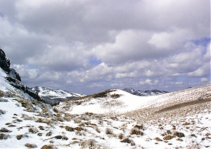 b145.jpg