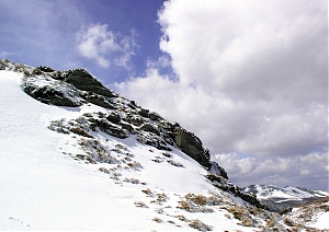 b146.jpg