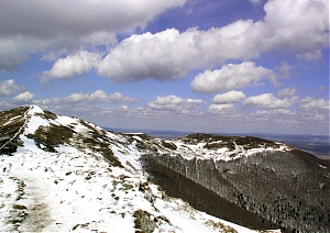 b147.jpg