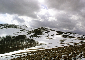 b150.jpg