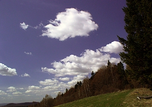 b154.jpg
