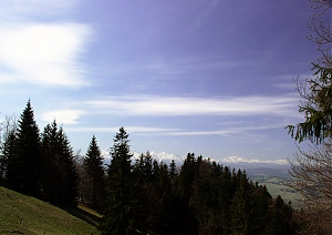 b156.jpg