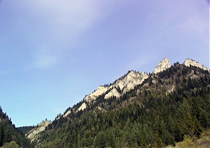 b157.jpg